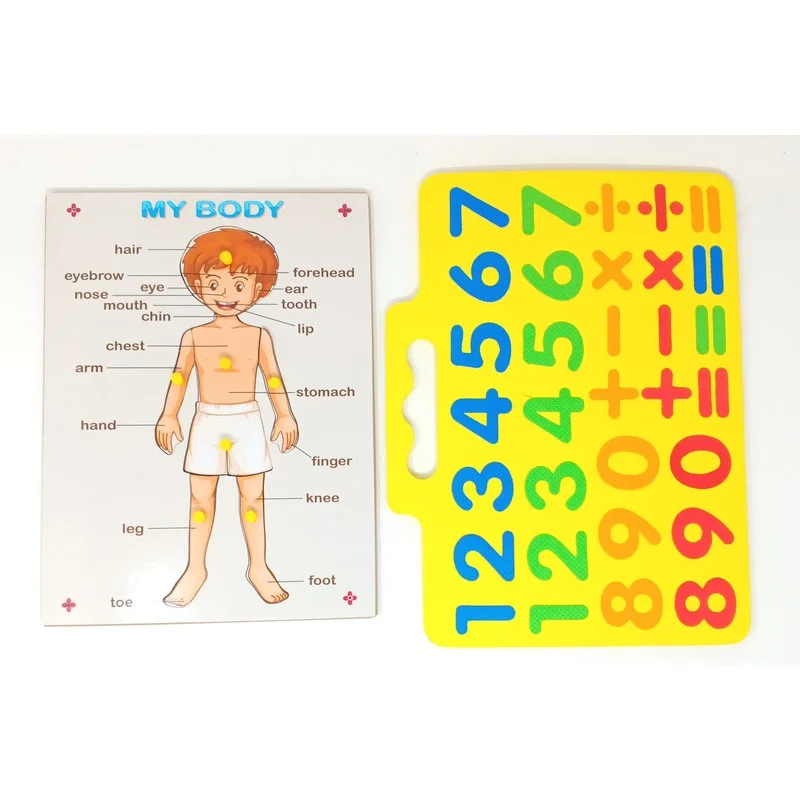 My Body Puzzle Set with Number Game ( Wooden Puzzle & Evafoam Number Game) - 39 Pcs